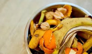 ଏହି ଫଳର ଚୋପା; ନଫିଙ୍ଗି କରନ୍ତୁ ବ୍ୟବହାର