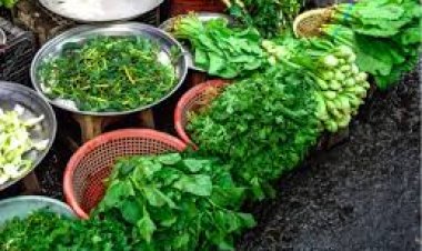 କେଉଁ ଶାଗ ଖାଇଲେ ମିଳେ କି ଉପକାର..