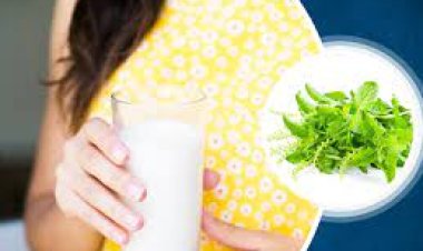 କ୍ଷୀରରେ ତୁଳସୀପତ୍ର ମିଶାଇ ପିଅନ୍ତୁ : ହେବ ନାହିଁ ଏହି ୫ଟି ରୋଗ