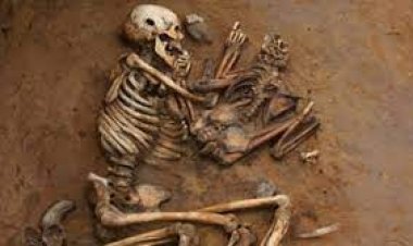 ଦୟା ନଦୀରୁ ମଣିଷ କଙ୍କାଳ ଉଦ୍ଧାର