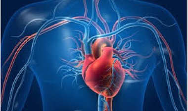 ଏମାନଙ୍କୁ ହୃଦ୍‌ଘାତ ଆଶଙ୍କା ବେଶୀ