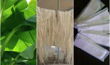 କଦଳୀ ପାଟୁଙ୍ଗାରୁ ସାନିଟାରି ପ୍ୟାଡ୍‌