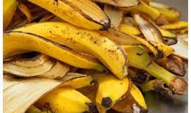 କଦଳୀ ଚୋପାକୁ ଅଳିଆ ଭାବି ଫୋପାଡ଼ି ଦେଉଛନ୍ତି କି?