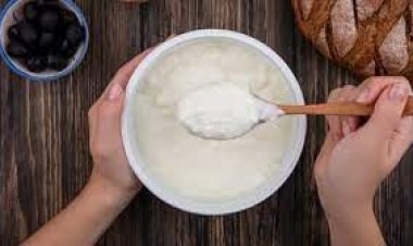 ଥଣ୍ଡାରେ ଦହି ଖାଇବା ଉଚିତ କି? ଜାଣନ୍ତୁ ଡାକ୍ତରଙ୍କ ପରାମର୍ଶ କ’ଣ