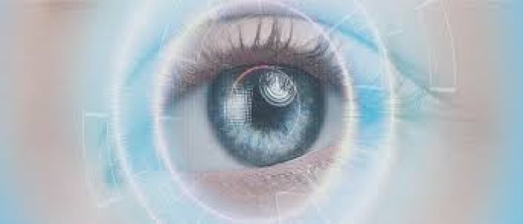 ଆଖି ସମସ୍ୟା ଥିଲେ, କେଉଁ ସବୁ ଖାଦ୍ୟ ଖାଇବେ ଜାଣନ୍ତୁ...