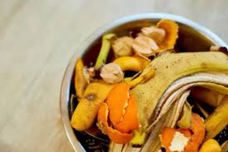 ଏହି ଫଳର ଚୋପା; ନଫିଙ୍ଗି କରନ୍ତୁ ବ୍ୟବହାର