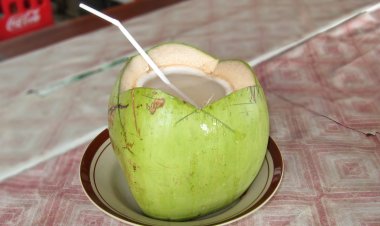 ପଇଡ ପାଣି ପିଇଲେ ମିଳିବ ଲାଭ