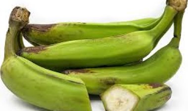 କେଉଁ ସବୁ ରୋଗର ଅବ୍ୟର୍ଥ ଔଷଧ କଞ୍ଚା କଦଳୀ ? ଜାଣନ୍ତୁ