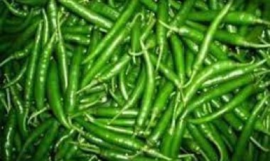 ଚିନ୍ତା ଦୂର କରେ କଞ୍ଚା ଲଙ୍କା