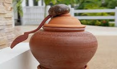 ଘରେ ରଖନ୍ତୁ ମାଠିଆ , ବଦଳିଯିବ ଭାଗ୍ୟ