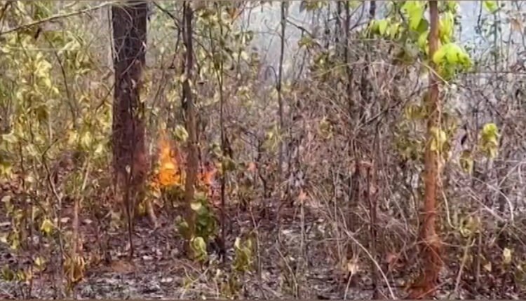 ଖୋଲୁନି ନିଦ୍ରା , କେବଳ ୨ କିଲୋମିଟର ଦୂରରେ ବନ ବିଭାଗ । ଡହଡହ ଖରାରେ ଜଳି ପାଉଁଶ ହୋଇଗଲା ହେମଗିରି ବ୍ଲକ କନିକା ଜଙ୍ଗଲ