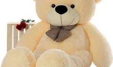 ଶିଶୁଙ୍କୁ ରୋଗାକ୍ରାନ୍ତ କରେ ଟେଡି ବିୟର୍