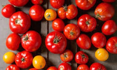 ଖରାଦିନେ କେଉଁ ଖାଦ୍ୟ ଖାଇଲେ ଶରୀରକୁ ଶକ୍ତି ଆସିଥାଏ ଜାଣନ୍ତୁ