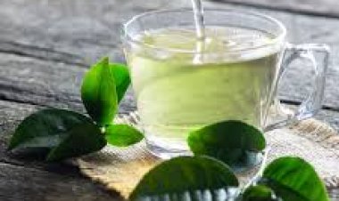 ଖରା ରୁ ରକ୍ଷା କରିଥାଏ ଗୋଟିଏ କପ୍ Green Tea, ଏହାର ଫାଇଦା ଜାଣି ରଖନ୍ତୁ