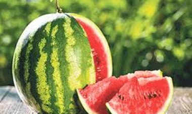 ଫୁସ୍‌ଫୁସ୍‌ ପାଇଁ ହିତକର ଅନେକ ଖରାଦିନିଆ ଖାଦ୍ୟ