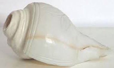 ପୂଜା ଘରେ ଶଙ୍ଖ ରଖିବାର କିଛି ନିୟମ ! ଧ୍ୟାନ ଦିଅନ୍ତୁ