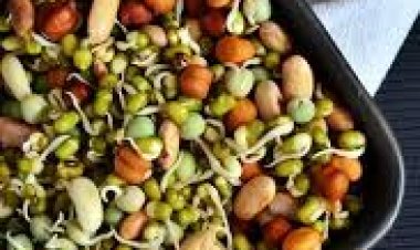 ଆପଣ ଖାଉଛନ୍ତି କି ସ୍ପ୍ରାଉଟ? ଜାଣନ୍ତୁ ଏହି କଥା