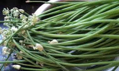 ପିଆଜ ଶଣ୍ଢା ରଖେ ଇନ୍‌ସୁଲିନ୍‌ ସ୍ତର ସନ୍ତୁଳିତ