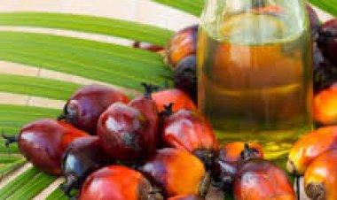 ଜାଣନ୍ତୁ , ପାମ୍ ତେଲର ସ୍ୱାସ୍ଥ୍ୟ ଉପକାରିତା