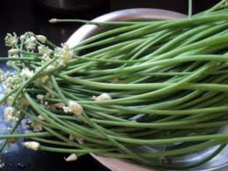 ପିଆଜ ଶଣ୍ଢା ରଖେ ଇନ୍‌ସୁଲିନ୍‌ ସ୍ତର ସନ୍ତୁଳିତ