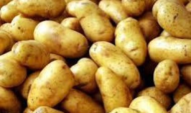 ଏକମାସ ପର୍ୟ୍ୟନ୍ତ ଆଳୁ ନ ଖାଆନ୍ତି, ତେବେ କ’ଣ ହେବ ? ଆସନ୍ତୁ ଜାଣିବା