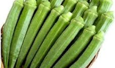 ଭେଣ୍ଡି ନିୟମିତ ଖାଇବା ଦ୍ୱାରା କଣ ନିଳେ ଫାଇଦା, ଜାଣନ୍ତୁ