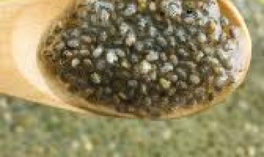 କେବଳ ଓଜନ ନିୟନ୍ତ୍ରଣ ନୁହେଁ ରୋଗ ଦୂର କରେ ଚିଆ ସିଡ୍ସ