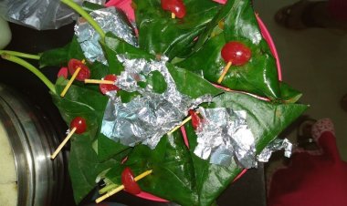 ରଜପାନର ମଜା ନିଆରା