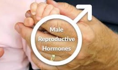 ପୁରୁଷଙ୍କ ବନ୍ଧ୍ୟାତ୍ୱ , କାହିଁକି ଜାଣନ୍ତୁ କାରଣ?