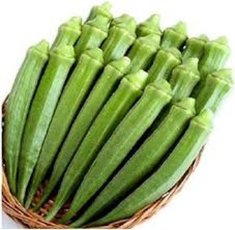 ଭେଣ୍ଡି ନିୟମିତ ଖାଇବା ଦ୍ୱାରା କଣ ନିଳେ ଫାଇଦା, ଜାଣନ୍ତୁ