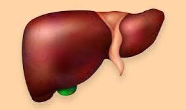 ଲିଭର୍ କୁ ସୁସ୍ଥ ରଖିବା ପାଇଁ କଣ କରିବା ଉଚିତ୍?