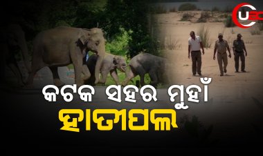 କଟକ ସହର ମୁହାଁ ହାତୀପଲ