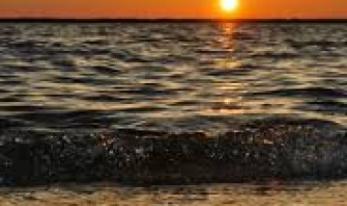 ସୂର୍ୟ୍ୟାସ୍ତ ପରେ ଆଦୌ ଘରକୁ ଆଣନ୍ତୁ ନାହିଁ ଏହି ଜିନିଷ