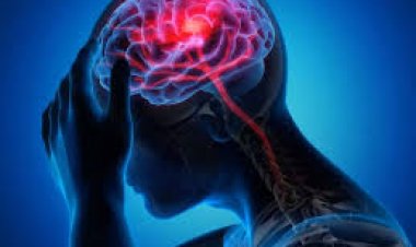 ମସ୍ତିଷ୍କ ରୋଗ ପାଇଁ ଦାୟୀ ନିଦ୍ରାହୀନତା