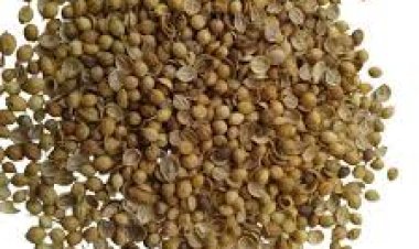 ଧନିଆ ଦୂର କରିବ ସ୍ୱାସ୍ଥ୍ୟ ଜନିତ ସମସ୍ୟା