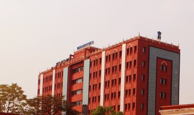 The Orissa High Court has instructed the Home Department to ensure that the Gram Rakhi workers receive fair compensation.