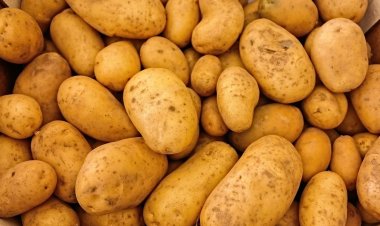 "Potato politics" has erupted in Odisha due to a supply shortage of potatoes from West Bengal.