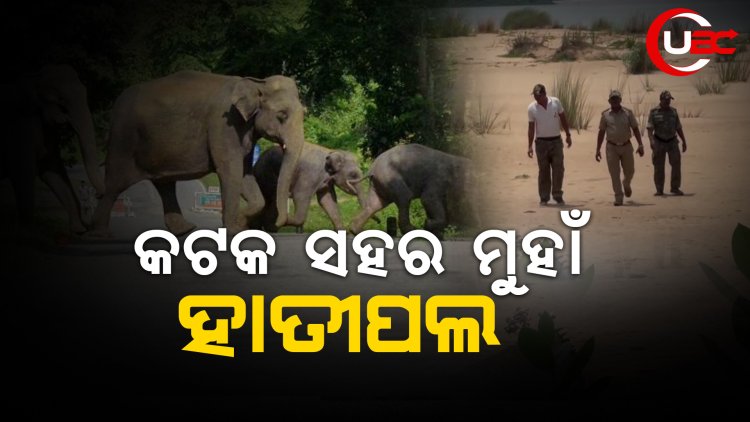 କଟକ ସହର ମୁହାଁ ହାତୀପଲ