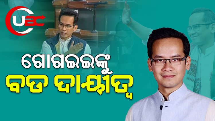 ଗୋଗଇଇଙ୍କୁ ବଡ ଦାୟୀତ୍ବ