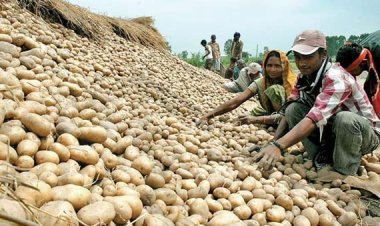 Odisha will now receive potatoes from Uttar Pradesh and will discontinue importing them from West Bengal.