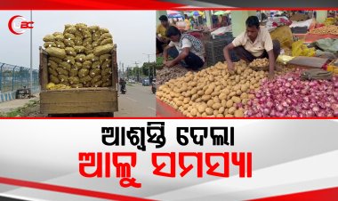 ଆଳୁ ସାମାନ୍ୟର ସାମାନ୍ୟ ଅଶ୍ଵସ୍ତି