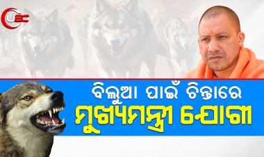 ୧୦ ମଣିଷ ଖାଇ ସାରିଲାଣି, ୩୪ ଜଣଙ୍କୁ ରକ୍ତାକ୍ତ କଲାଣି, ଦେଖିବା ମାତ୍ରେ ଗୁଳି ମାରିବାକୁ ନିର୍ଦ୍ଦେଶ