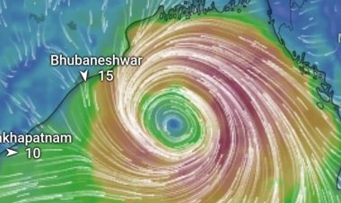 ବାତ୍ୟା ପାଇଁ ଟୋଲ ଫ୍ରି ନମ୍ବର