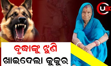 ଘର ଭିତରେ ପ୍ରାଣ ହରାଇଲେ ବୃଦ୍ଧା, କୁକୁରକୁ ପିଟିପିଟି ମାରିଦେଲେ ଗାଁ ଲୋକେ 