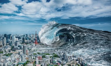 Villages in Odisha Recognized as 'Tsunami-Ready' by IOC-UNESCO