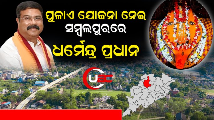 ମୋଦୀ ଓ ଟ୍ରମ୍ଫ ଭଲ ବନ୍ଧୁ, ଚାହିଁଲେ ଅନେକ କିଛି ବିଶ୍ୱକୁ ଦେଇ ପାରିବେ