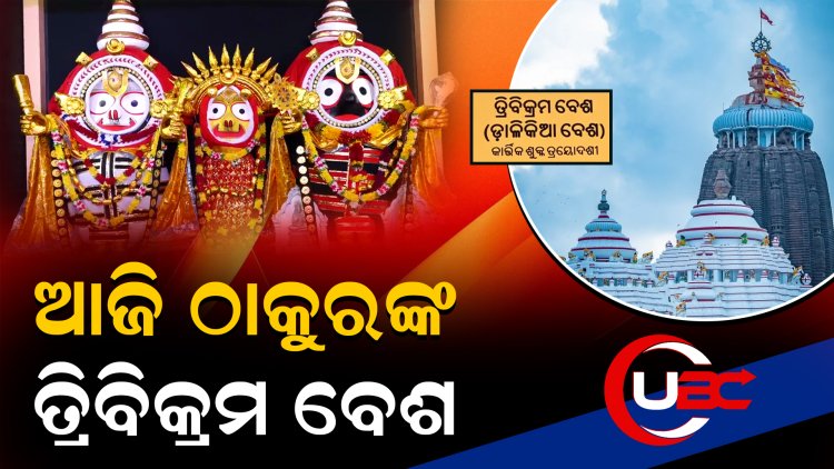 ଆଡ଼କିଆ ବେଶରେ ମସ୍ତକ ଚୂଳରେ ସ୍ଵର୍ଣ୍ଣ ନିର୍ମିତ କିଆ ଆଡବାଗରେ ଖୋସା ଯାଇଛି 