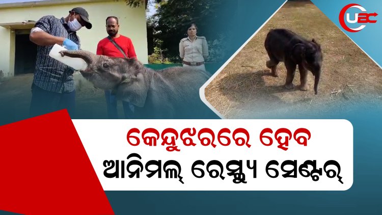 ହାତୀ ସହ ଅନ୍ୟ ଅସହାୟ ଜୀବଯନ୍ତୁଙ୍କୁ ଉଦ୍ଧାର କରି ଏଠାରେ ଚିକିତ୍ସା କରାଯିବ