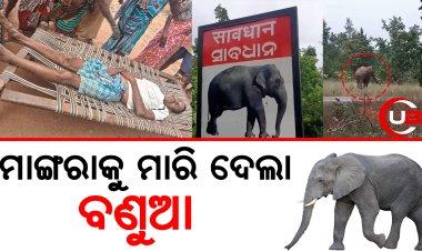 ସମ୍ବଲପୁରରେ ଅଣାୟତ ହାତୀ ଉପଦ୍ରବ, ମାସକରେ ମଲେଣି 4 ମଣିଷ