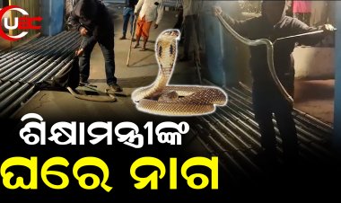 ମନ୍ତ୍ରୀଙ୍କ ଘର ଭିତରକୁ ପଶୁଥିଲେ ନାଗଦେବ, ସୁରକ୍ଷାକର୍ମୀ ପ୍ରବେଶ କରାଇ ଦେଲେନି